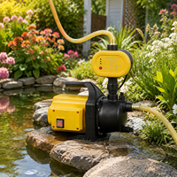 Pompe de jardin à commande de pression automatique pour l'alimentation en eau des puits et les projets d'irrigation des jardins.