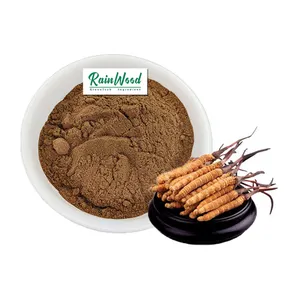 Fornitura all'ingrosso fungo Cordyceps Sinensis 20% polisaccaride acido cordycepico estratto di Cordyceps Sinensis