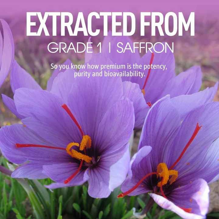 100% Pure Saffron Extract Gummies Whole Herb Supplement for Adult's Sustained Energy Cardiovascular Health Mixed Berry Flavor