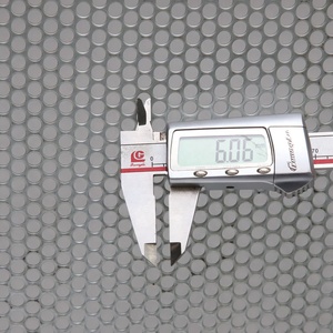 Panneaux en maille perforée en aluminium avec perforation à trous ronds pour applications de protection - Product Image 2