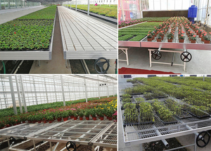 Seedbed nông nghiệp thương mại nhà kính dòng chảy thủy triều thấp 4x8 lũ bảng với cán băng ghế Vườn Ươm phát triển bảng trên đường đua - Product Image 3