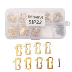 SIP22 plaque de verrouillage de <span class=keywords><strong>voiture</strong></span> Reed laiton matériel serrure à <span class=keywords><strong>clé</strong></span> automatique Wafer réparation Kits de ressaisie pour porte <span class=keywords><strong>Fiat</strong></span> (200 pièces) - Product Image 2