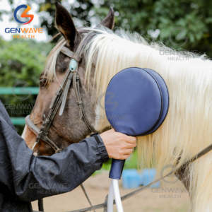 Máquina de Terapia Magnética para Humanos y Animales, Bucle Pemf 24700 Gauss, Alivio del Dolor, Mejora la Recuperación - Product Image 6