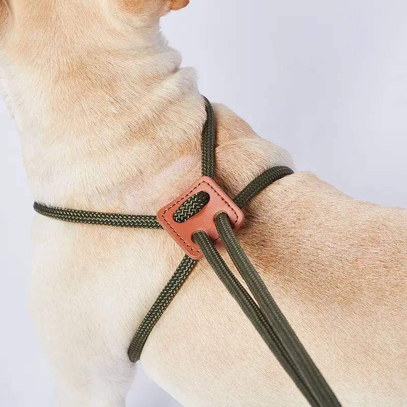 เชือกจูงสุนัขแบบปรับได้สายจูงสุนัขแบบยืดหดได้ทำด้วยมือ