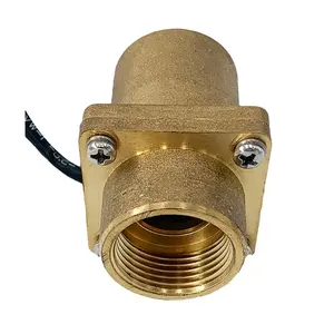 Water Brass Magnetic Flow Switch For Large Pipe Or Boiler