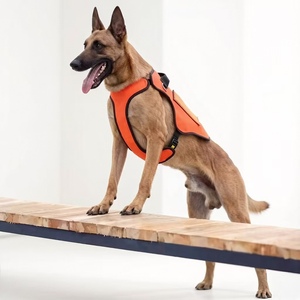 Harnais professionnel robuste pour chien 1000D, type <span class=keywords><strong>gilet</strong></span>, pour la recherche et le sauvetage, les interventions en cas d'incendie, de tremblement de terre et de catastrophe, respirant et ajustable - Product Image 6