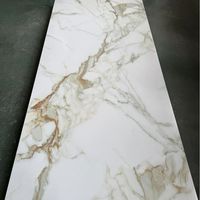 Panneau mural en PVC avec revêtement UV à effet marbre de qualité supérieure pour la maison et le bureau