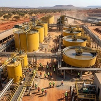 Usine de traitement de l'or à faible coût et facile à utiliser, machine minière d'or à petite échelle certifiée ISO CE avec moteur haute performance et PLC
