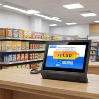 Tableta con Pantalla Táctil de 11.6 Pulgadas, Windows 10, Android, 1366*768, Sistema POS para Verificación de Precios en Comercios Minoristas
