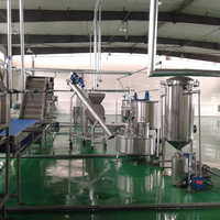 Complete multifunctionele fruitverwerkingslijn met tandwielvulmachine, 304 roestvrij staal, hoge capaciteit 2000-15000 BPH