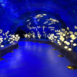 Grande acquario acquario quadrato 50mm 80mm in plastica acquario acquario acquario a parete - Product Image 2