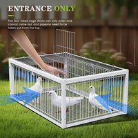 Piège à oiseaux métallique avec trappe et puits de lumière, entrée unidirectionnelle sans sortie pour la sécurité des pigeons, clôture traitée thermiquement