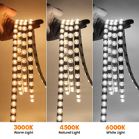 24V 2835 LED bande lumineuse flexible luminosité réflexion diffuse connectivité USB 18 W/m sans ombre optique néon Tube NFC cuivre