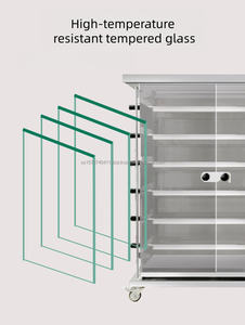 Four électrique/gaz commercial en acier inoxydable haute résistance aux températures, facile à nettoyer, idéal pour poulet, dinde, agneau, canard - Offre Spéciale - Product Image 2