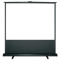 Écran blanc mat TELON 60-100 "4:3 Taille personnalisée Installation facile Écran de projection debout au sol
