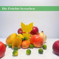 80 pièges adhésifs jaunes pour moucherons et mouches des fruits, pièges à insectes pour plantes d'intérieur