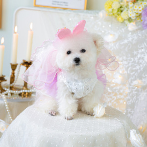 PETCIRCLE Pet Circle Vêtements pour animaux printemps/été : tenues pour chiens et chats, jupes en tulle irisé et voiles - Product Image 3