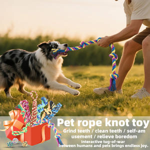 Özel fabrika yeni köpek ürünü hayvan Pet malzemeleri dayanıklı diş temizleme köpek çiğnemek pamuk halat oyuncak - Product Image 5