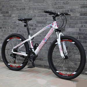 Oferta: <span class=keywords><strong>Cubierta</strong></span> de Rueda de Disco para <span class=keywords><strong>Bicicleta</strong></span> de Montaña, Alta Calidad, Precio Económico - Product Image 4