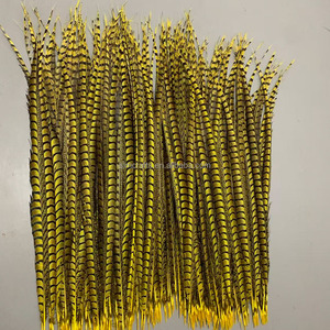 Plumes de faisan Lady Amherst teintées de 110 cm en gros, plumes de faisan naturelles longues pour décoration de coiffure de costume de carnaval - Product Image 2