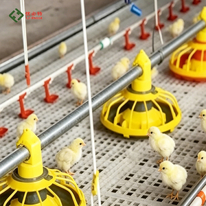PHOENIX - Tubería de Agua Cuadrada de PVC con Bebedero de Tetina <span class=keywords><strong>para</strong></span> Aves de Corral, Sistema Automático de <span class=keywords><strong>Bebederos</strong></span> <span class=keywords><strong>para</strong></span> Gallineros - Product Image 5