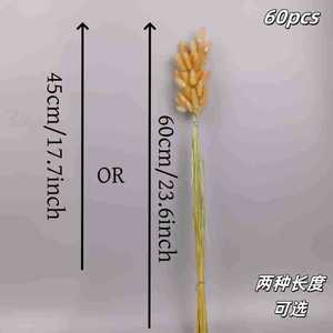 Queues de lapin naturelles colorées en fleurs séchées, Lagurus Ovatus, herbe de la <span class=keywords><strong>pampa</strong></span> naturelle, queues de lapin préservées - Product Image 6