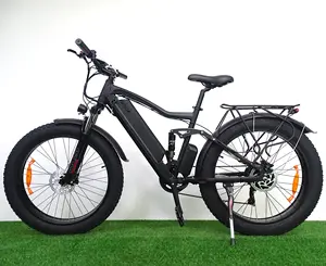 دراجة جبلية كهربائية بإطار عريض 750w48v دراجة جبلية مزودة بنظام تعليق كامل للبيع دراجة كهربائية ببطارية سعة 16 أمبير في الساعة