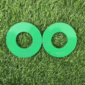 Mini plaque de poids de compétition en acier portable 0,25/0,5/0,75/1/1,25/1,5/2 kg – Unité de plaque de poids mini durable et écologique W - Product Image 1