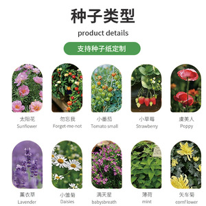 Papier à graines personnalisé écologique pour impression, motif Cerf de la forêt, format A4, avec logo de votre marque - Product Image 6