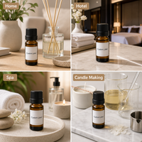 Recharge d'huile parfumée personnalisée pour diffuseur à bâtonnets 10ml, notes fraîches, aromathérapie pour la maison, OEM/ODM disponible