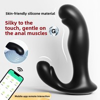 Jouet anal de haute qualité à 10 vibrations puissantes en silicone, masseur de prostate masculin, jouet anal magnétique rechargeable premium pour le plaisir