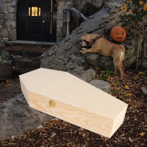 Lớn <span class=keywords><strong>18</strong></span>-inch Halloween Gothic quan tài Hộp bơm lại bản lề với Quan Tài vật nuôi lưu trữ thùng cho bên trang trí và quà tặng - Product Image 5