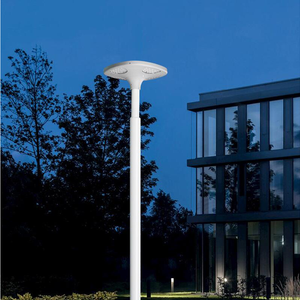 Fabricants professionnels de lampadaires LED offrant des lampadaires solaires LED et des solutions tout-en-un - Product Image 2