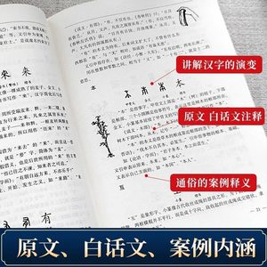 Shuowen Jiezi, Edición Ilustrada con Traducción <span class=keywords><strong>del</strong></span> <span class=keywords><strong>Texto</strong></span> Original, Anotaciones de Duan Yutai, Diccionario Chino Antiguo Auténtico - Product Image 5