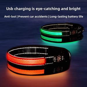 Leuchtendes 100% Nylon Hundehalsband für Spaziergänge Wiederaufladbar & Verstellbar für Große/Mittlere/Kleine Hunde - Product Image 2