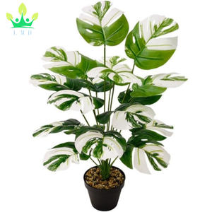 Feuille de Tortue Artificielle Hyphose Blanc Vert Feuilles Bonsaï <span class=keywords><strong>Sans</strong></span> <span class=keywords><strong>Pot</strong></span> pour Chambre Maison Jardin Bureau Ornement Bureau Porche Décoration - Product Image 2