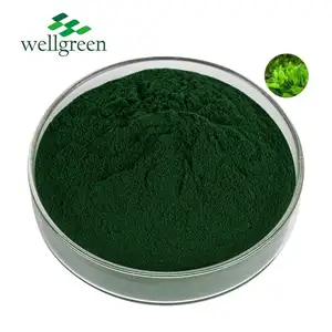 Material de suplemento de salud, extracto de espirulina en polvo orgánico