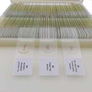 Cố định thiết lập 100 miếng động vật học của động vật có VÚ MÔ mô học Slide chuẩn bị Slide - Product Image 2