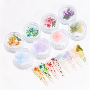 8 Types Natural Real Mixed Leafs Flowers Accessories Nail Art Supplies Dried Beautiful Flower Stickers Nail Art Dried Flowers