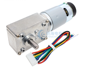 Chihai motore CHW-GW4058-555 ABHL hith coppia DC 12V 24V turbina a vite senza fine <span class=keywords><strong>elicoidale</strong></span> riduttore a ingranaggi del motore potente motoriduttore - Product Image 1