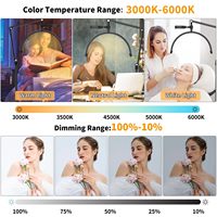 Lampe LED de beauté demi-lune 16 pouces en forme de U pour bureau et sol, idéale pour tatouage, sourcils, nail art et extension de cils