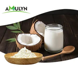 AMULYN Flavor Low Fat Organic Coconut Powder No Preservative Coconut Milk Powder