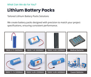 ชุดแบตเตอรี่ LFP แบบกำหนดเอง 12v 24v 36v 48v 60v 72v แบตเตอรี่ลิเธียมไอรอนฟอสเฟต 20ah 25ah 30ah 50ah 100ah - Product Image 3