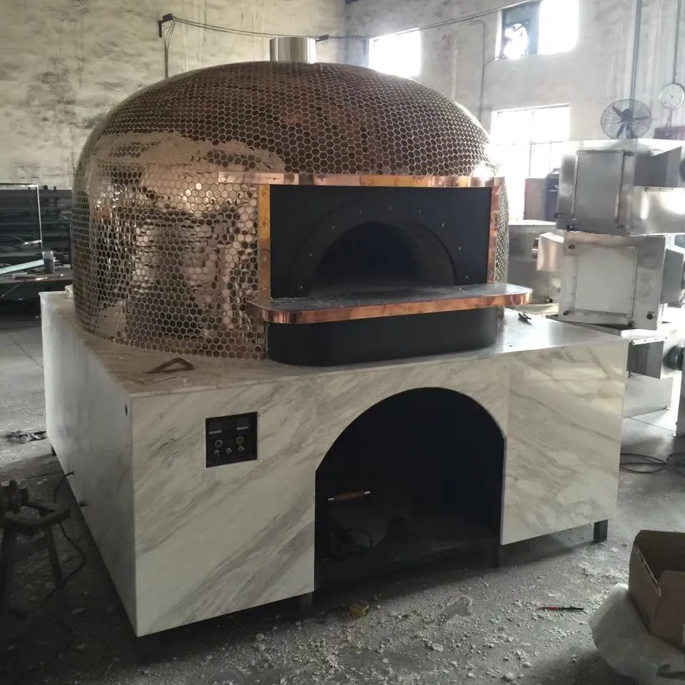 Roman gas wood electric pizza oven