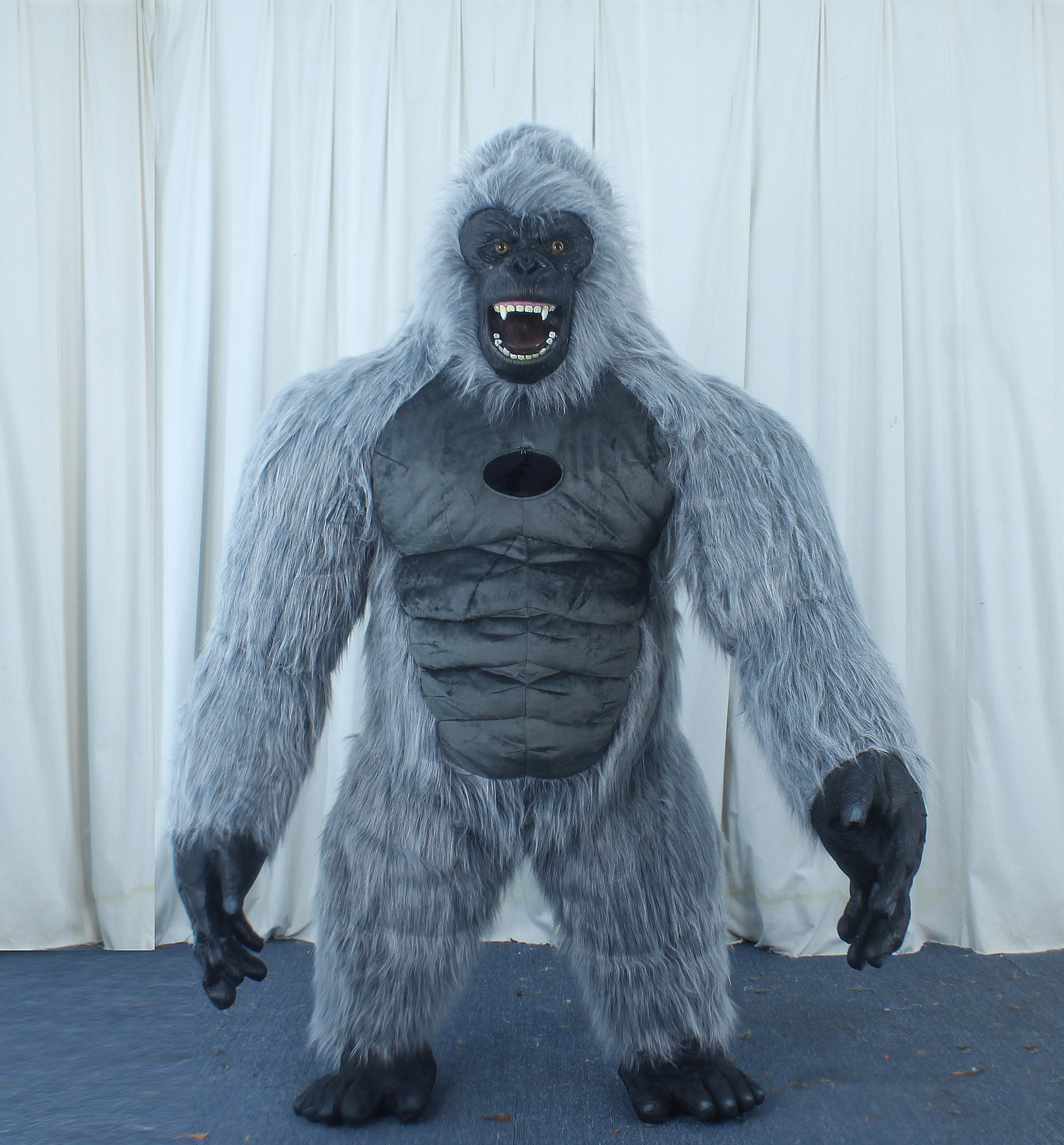 Gorilla grigio