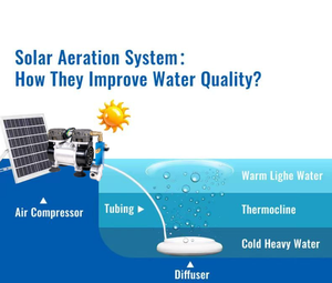 Sistem Oksigenasi Aerator Kolam Tenaga Surya 150W 24V 30LPM untuk Kolam Ikan hingga 0,5 Acre - Product Image 2