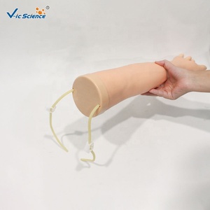 Modello di <span class=keywords><strong>Braccio</strong></span> per Addestramento alla Puntura Venosa Riutilizzabile con 8 Vene, Ritorno del Sangue e Sensazione di Puntura per Pratica Medica e Infermieristica - Product Image 6