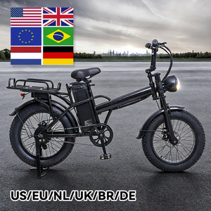 Vélo cargo électrique multifonctionnel personnalisé et expédié directement de l'usine, 48V 500W, pneus larges, <span class=keywords><strong>porte</strong></span>-bagages arrière, frein à disque - Product Image 6