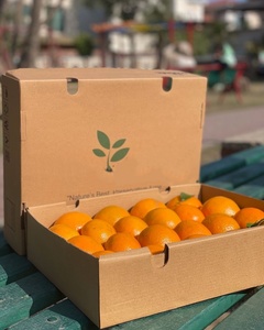 Cajas de Cartón para Tomates y Vegetales, Hechas con Materiales Reciclados, con Laminado Mate y Recubrimiento UV, Venta al Por Mayor - Product Image 5