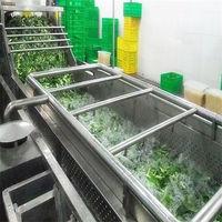Fabrieks prijs roestvrijstalen bubbel groente reinigingsmachine / fruitwastank